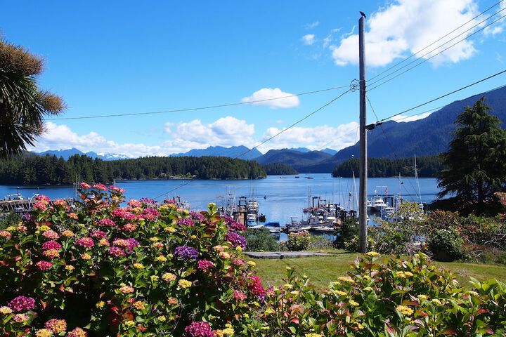 Tofino Motel Harborview