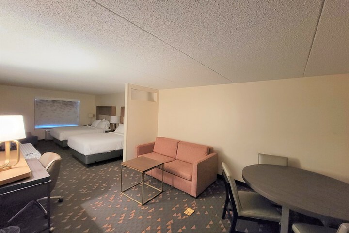 Holiday Inn & Suites Ann Arbor Univ Michigan Area by IHG