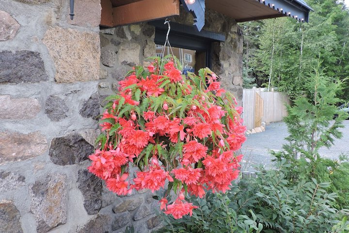 Hotel 4 of 55