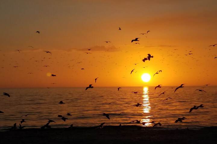 Escape Coastal Resort on Casey Key