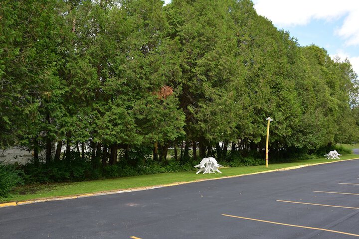The Village Motel