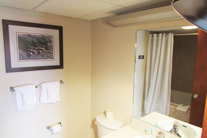 Room 38 of 80