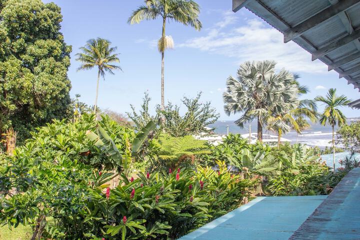 Wild Ginger Hotel