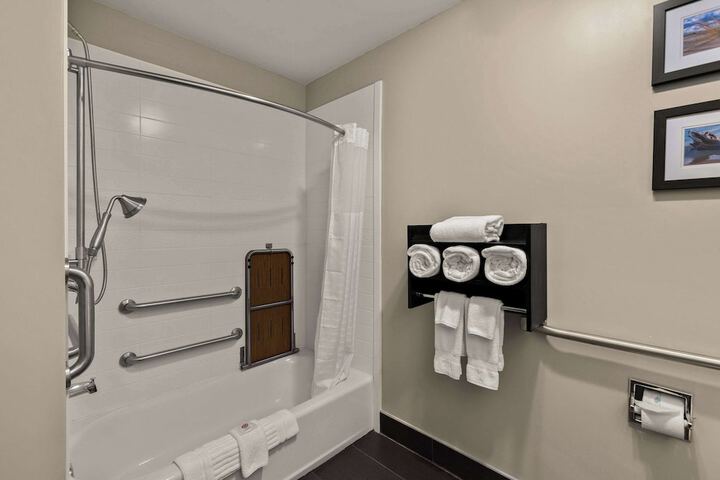 Comfort Inn & Suites Ludington near US-10