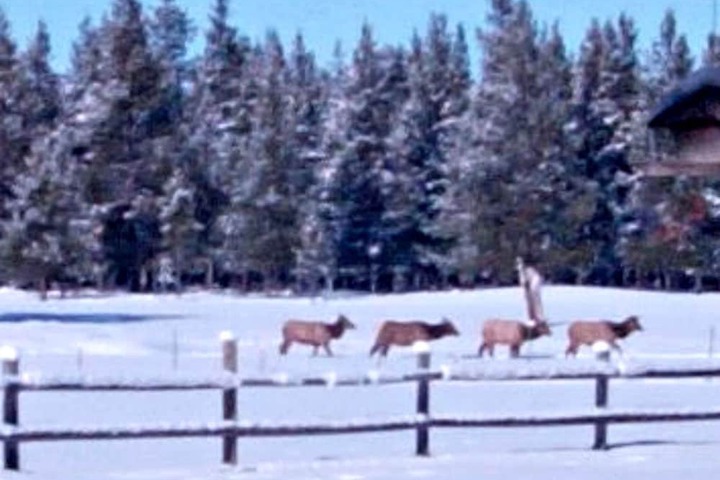 DiamondStone Guest Lodges
