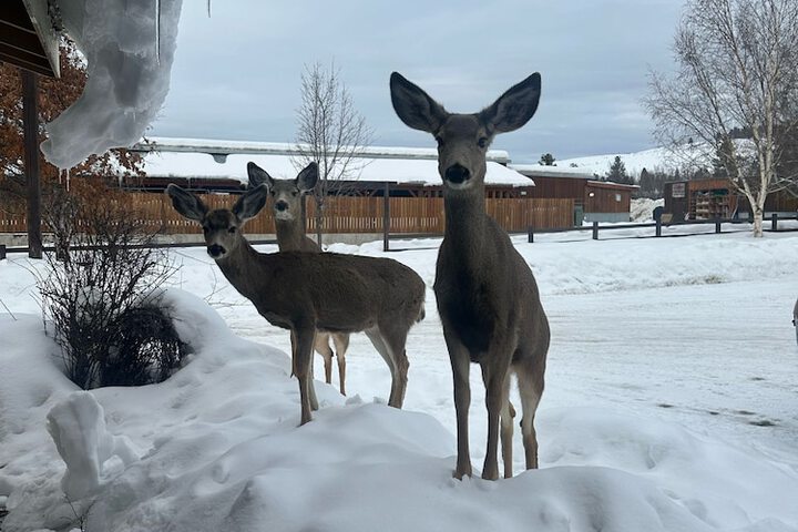 Methow River Lodge & Cabins