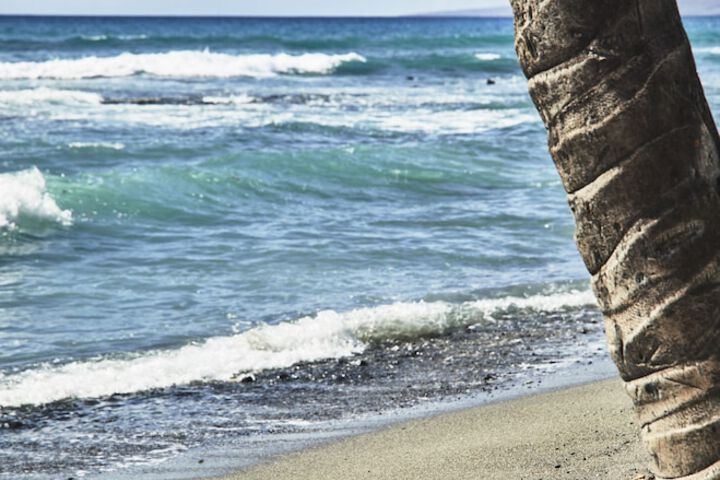 Beach 106 of 134