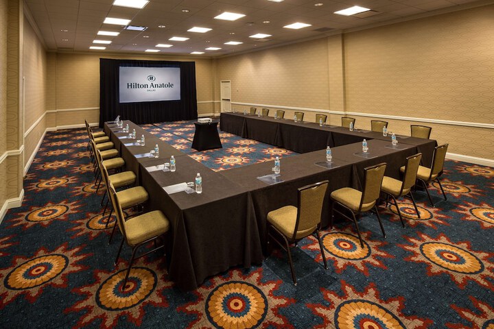 Hilton Anatole