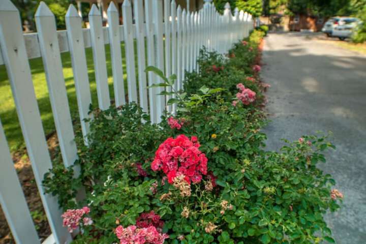 The Victoria B & B
