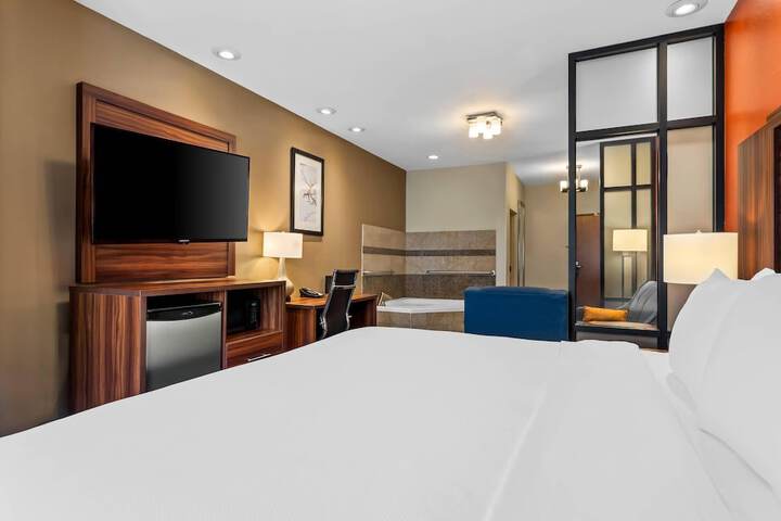Comfort Suites Roswell North