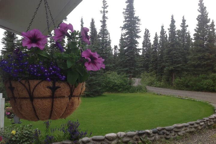 Denali Primrose B & B