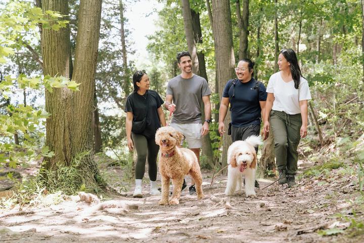 Holiday Inn Hotel & Suites Oakville at Bronte by IHG