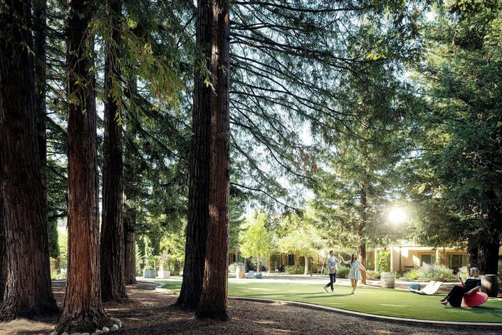 Napa Valley Marriott Hotel & Spa