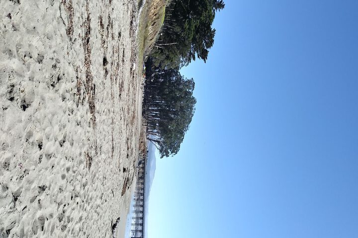 Beach Bungalow Inn and Suites