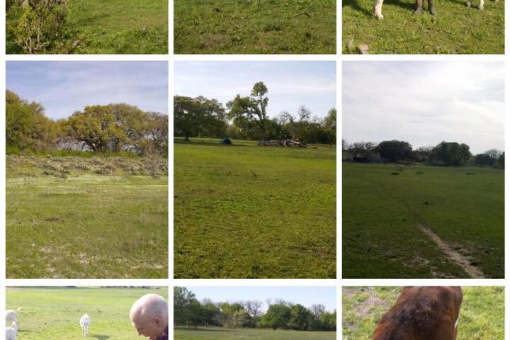 Constantino Farms