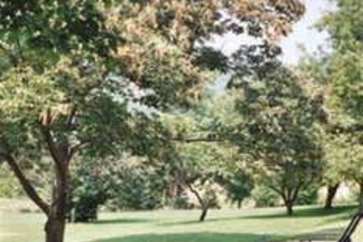 Monier Manor