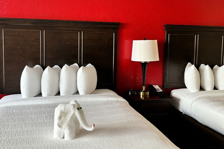 Room 50 of 101