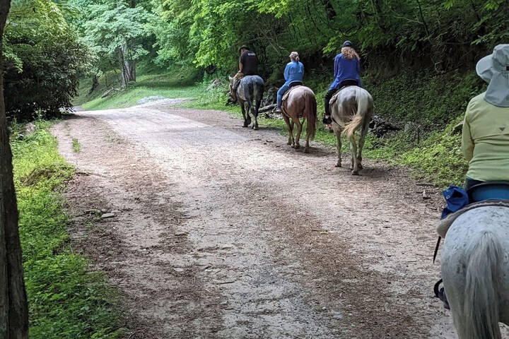 Arrowmont Stables & Cabins