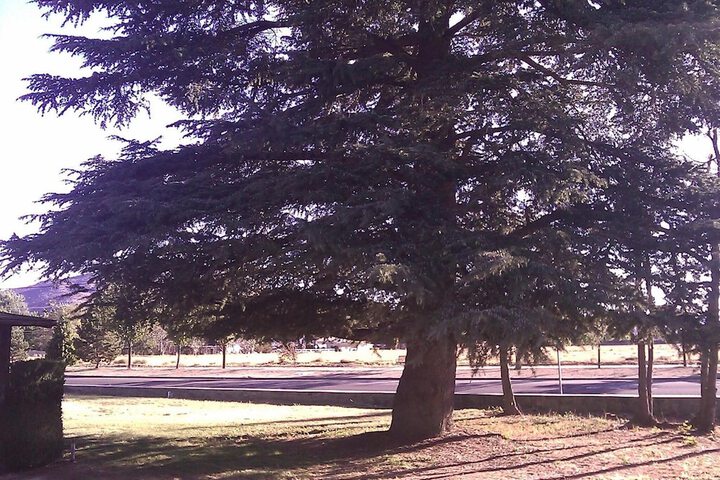 Property Grounds 56 of 56