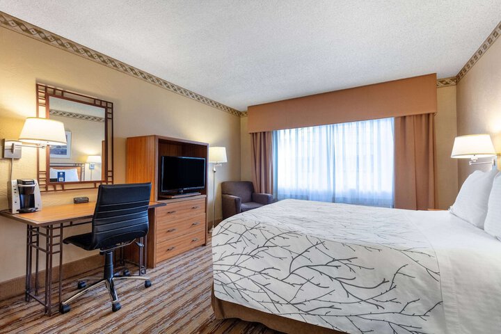 Room 15 of 49