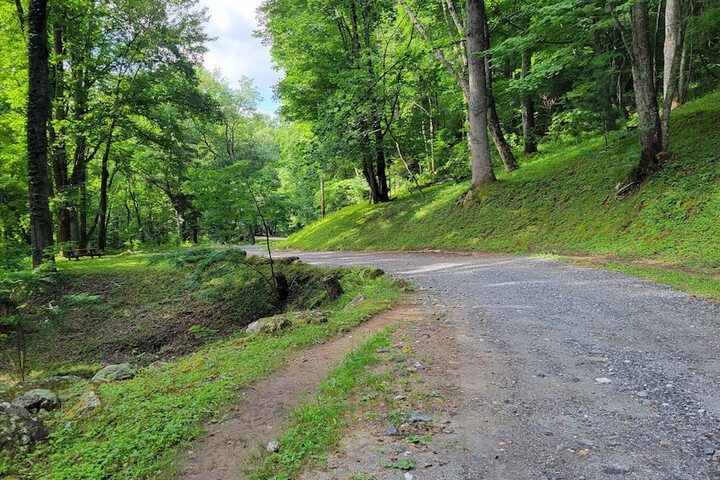 Arrowmont Stables & Cabins