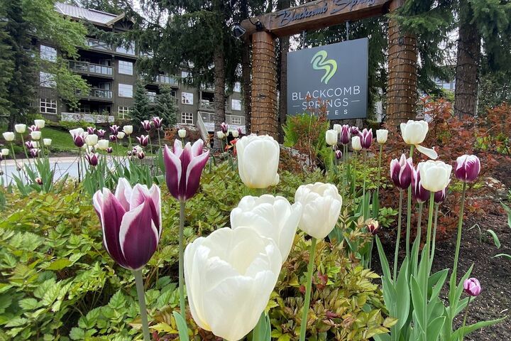 Hotel Exterior 93 of 104