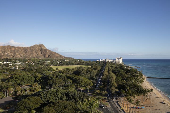 The Twin Fin Hotel