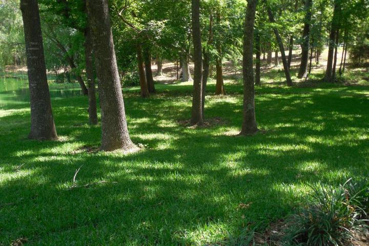 Dogwood Springs Lodgings