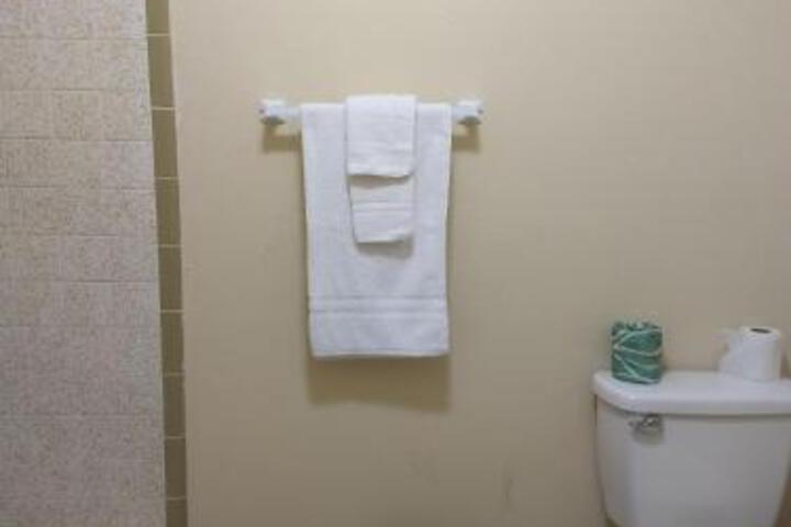 Express Inn