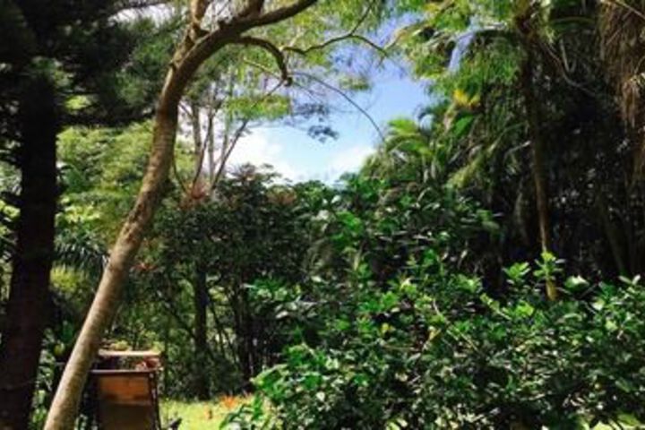 Anuhea Tropical Home