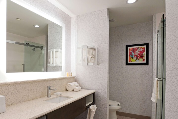Hampton Inn & Suites Lubbock University
