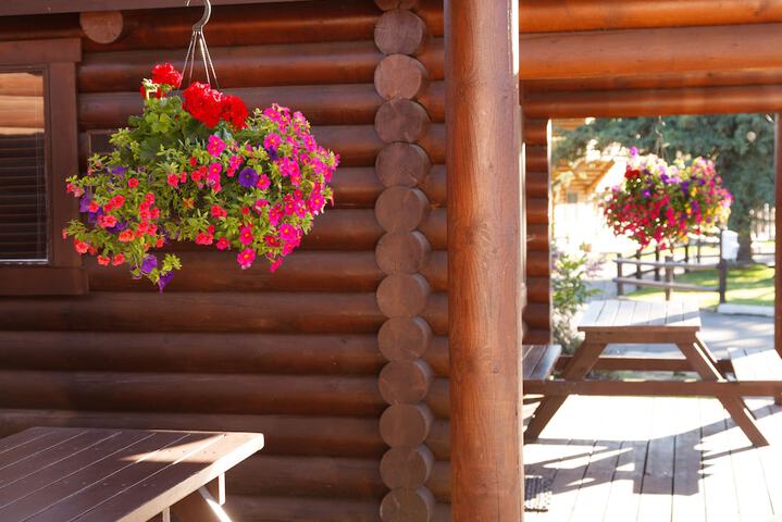 Elk Country Inn