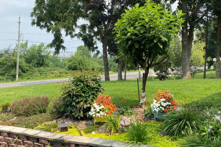 Lazy Dayz Vacation Rental