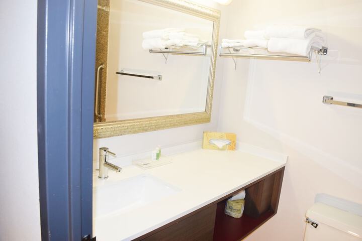 Holiday Inn Great Falls- Convention Center by IHG