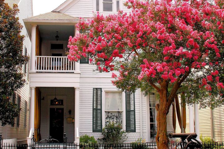 Rising Sun Bed & Breakfast