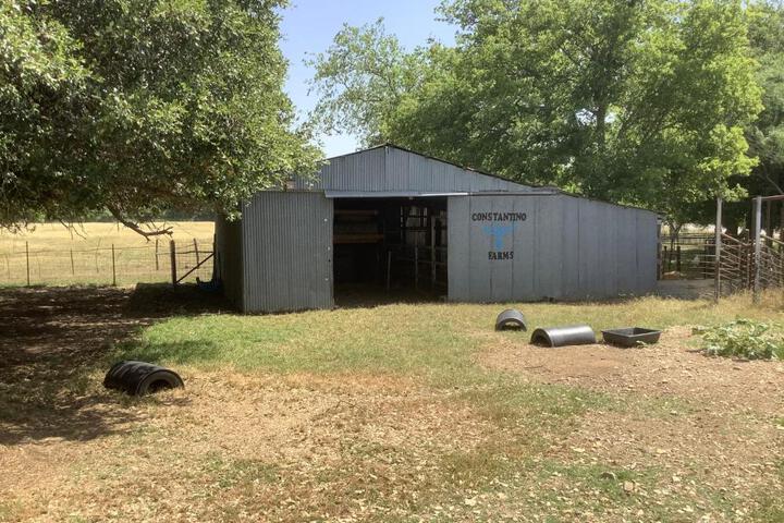 Constantino Farms