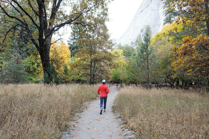 The Ahwahnee