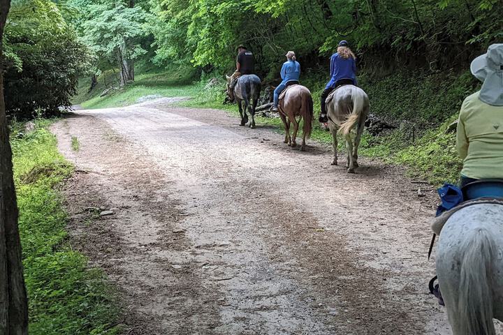 Arrowmont Stables & Cabins
