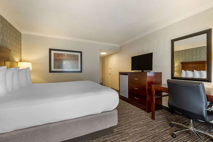 Room 15 of 40