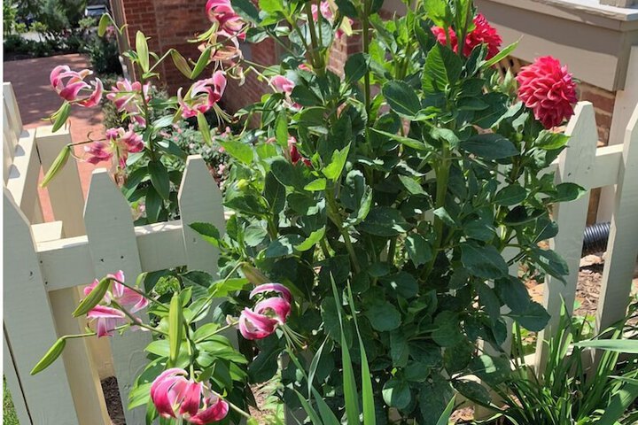 Hotel Exterior 124 of 128