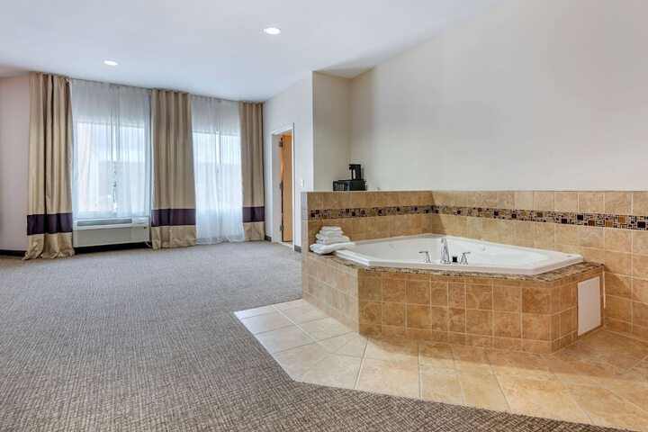 Comfort Inn Apalachin / Binghamton W Route 17