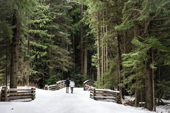 Four Seasons Resort Whistler