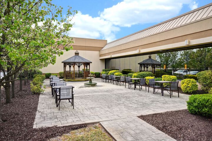 Terrace/Patio 46 of 49