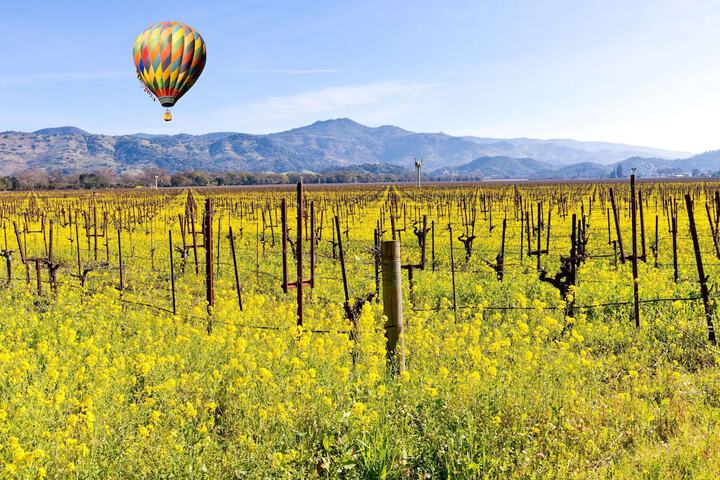 The Meritage Resort and Spa