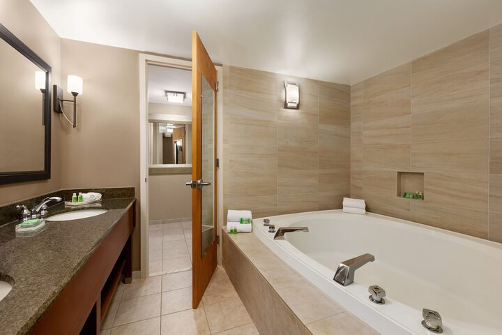 Holiday Inn Washington-Dulles International Airport by IHG