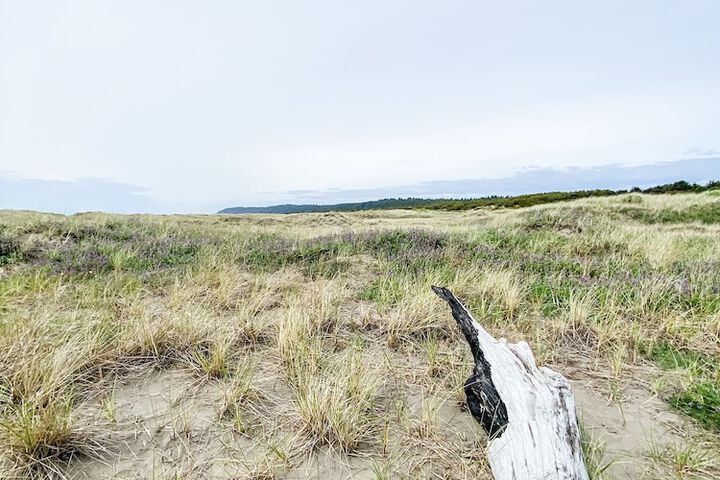 Pacific Dunes Resort