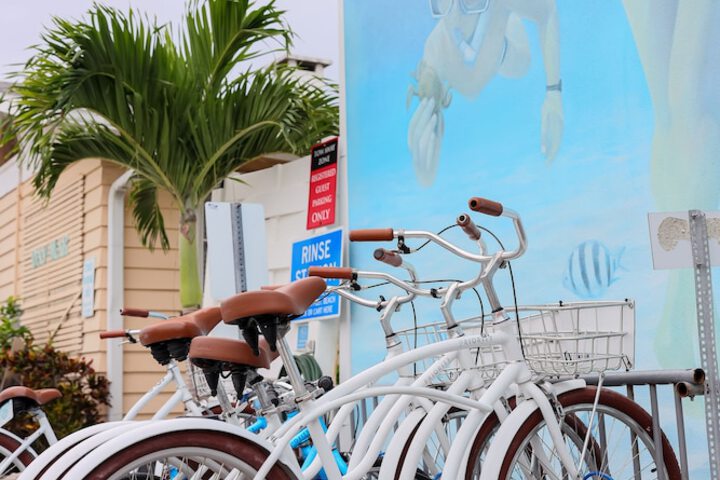 Siesta Key Beach Resort and Suites