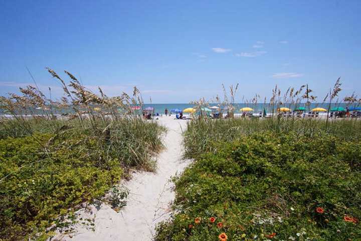 Beach 52 of 63