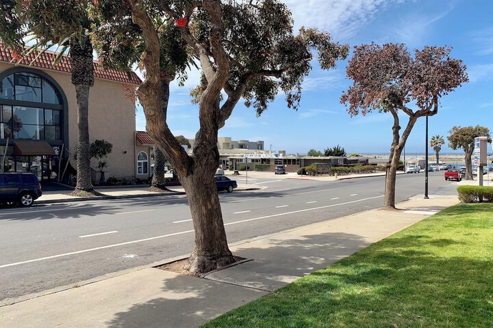 Avalon Inn Downtown Morro Bay