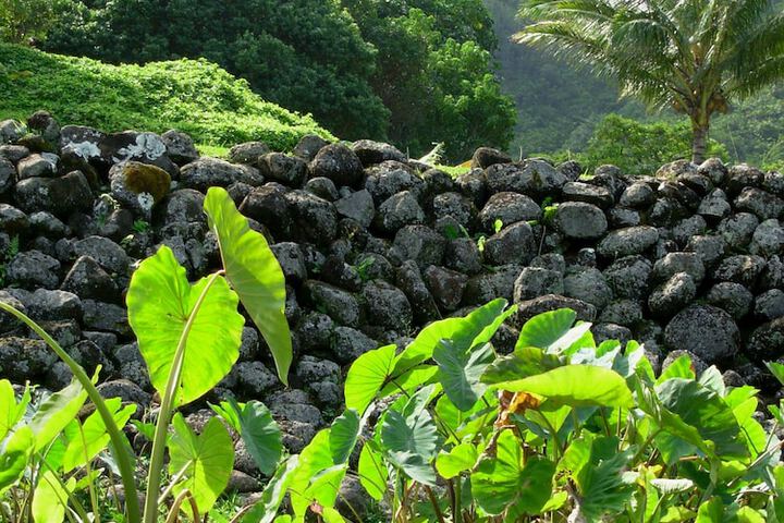 Grand Hyatt Kauai Resort and Spa